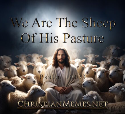 Sheep Of His Pasture Psalm 100 Verse 3