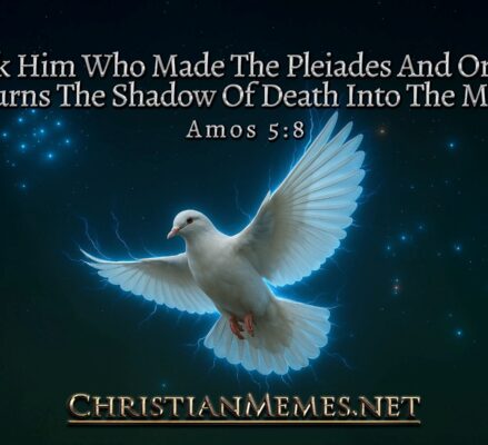 Seek Him Amos 5 Verse 8